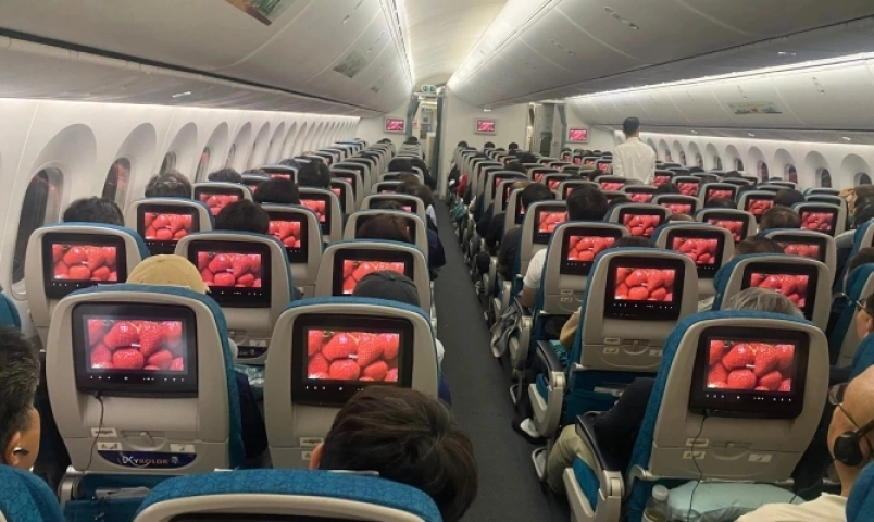 dau-tay-han-quoc-xuat-hien-tren-cac-chuyen-bay-vietnam-airlines-ko